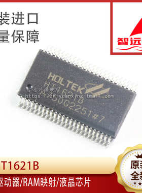 HT1621B 汽车仪表芯片 液晶屏驱动芯片 贴片48脚
