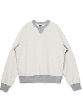 BPCALL25AW 乌龟卫衣新款秋冬380g纯棉毛圈法式复古卫衣男女款