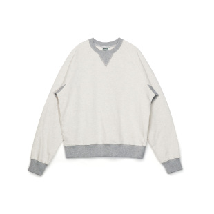 复古卫衣男女款 秋冬380g纯棉毛圈法式 乌龟卫衣新款 BPCALL25AW