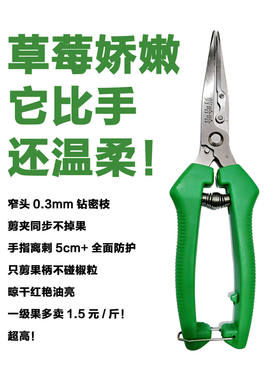 摘花椒的机器叫什么来着，摘花椒设备，摘花椒专摘花椒机器一体机