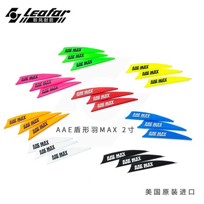 进口复合高速箭AAE碳素箭