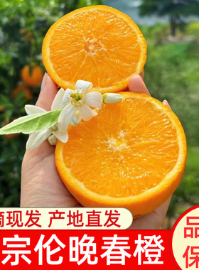 正宗纯甜秭归伦晚脐橙秭归橙子新鲜水果春橙当季应季大果冰糖甜