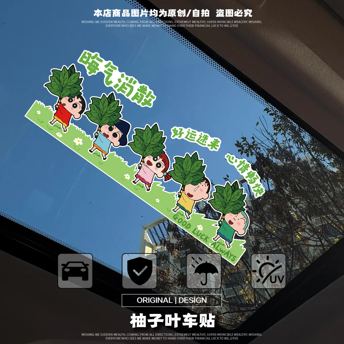 柚子叶去晦气开运转运祈福柚子叶