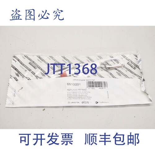 原装供应ARISTON65100891电离电极 电离电极 5411692492618