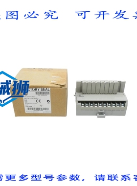 原装供应 罗克韦尔AB 1794-TBNF 系列A 250VDC/AC NSMP