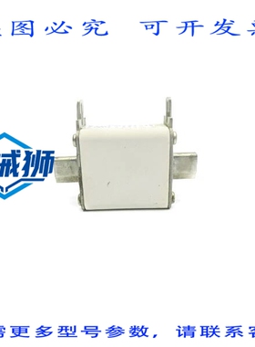原装供应 BUSSMANN 170M2673 1000V 20A NSNP