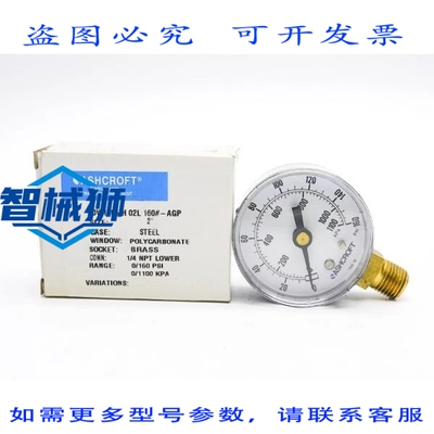 原装供应 ASHCROF 20W1005H02L160-AGP 0/160PSI NSMP