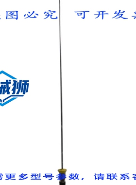 原装供应 MAGNETROL X7EF-E3PN-050/750-510A-134 导波雷达探头 N