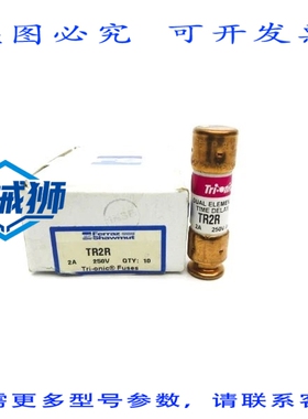 原装供应 FERRAZ SHAWMUT TR2R 250VAC 2A（10个装）（WH/PK）NSM