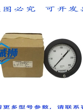 原装供应 ASHCROFT 60-1377-AS-02B-3000-300PSI 6 NSMP