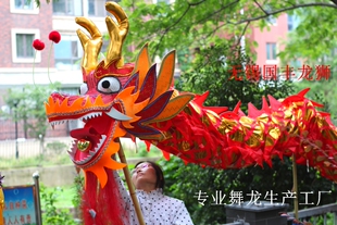 舞龙道具龙灯道具舞龙舞狮道具服装灯光龙醒狮比赛龙运动烫金款