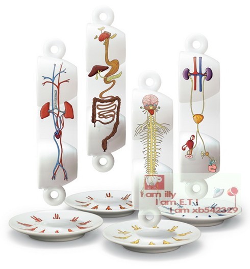 2005款典藏浓缩套杯意大利illy