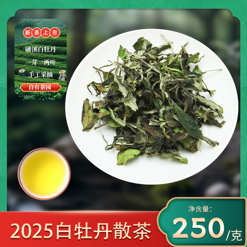 2025年福鼎白茶花香白牡丹散茶250g高山老树茶叶半斤收藏装口粮茶