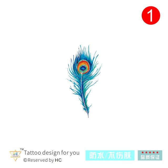 羽毛纹身贴孔雀羽毛瑜伽纹身小清新舞蹈卡通男女防水持久少女颈部