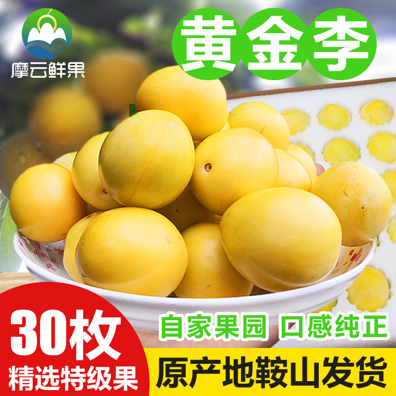 东北李子摩云现摘黄金奈李