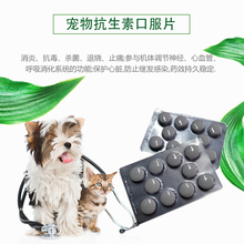 Chó và mèo phổ thuốc trung chuyển thoải mái cho ăn kim thuốc có thể được cho ăn viên canxi tẩy giun thuốc cung cấp vật nuôi - Cat / Dog Medical Supplies Dụng cụ phẫu thuật thú y
