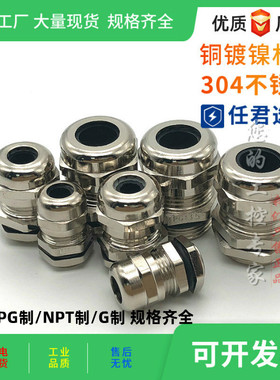 304不锈钢防水接头 铜镀镍金属格兰头PG21PG25PG29PG36PG42 48 63