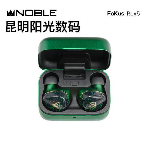 主动降噪真无线入耳式耳机