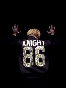 双11特卖 潮流品牌 knight 背后印刷蛇纹 86字母套头卫衣