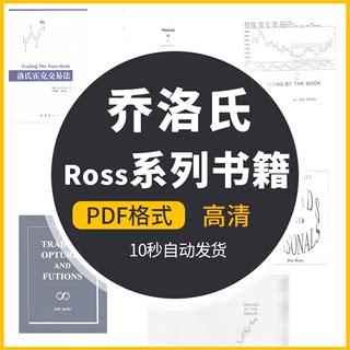 乔.洛氏Ross系列书籍洛氏霍克交易实录日内交易是一项事业教程