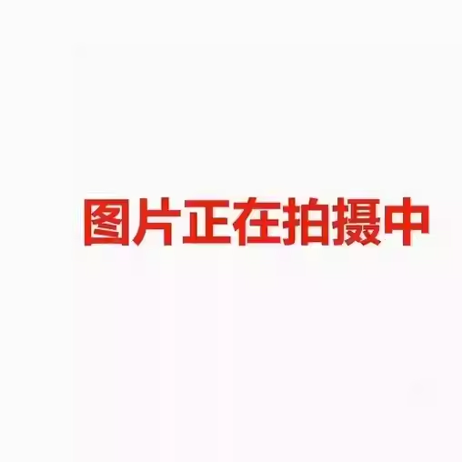 波家25新款羽绒服男90鹅绒轻奢保暖连帽B250244915