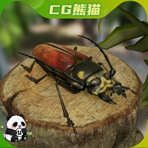 UE4虚幻5 Insect Pack 蝴蝶蜻蜓甲虫蜜蜂昆虫蝉萤火虫 乐器咨询
