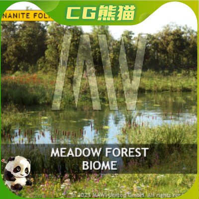 UE5虚幻5 MW Meadow Forest Trees Biome 草甸森林树木生物群系