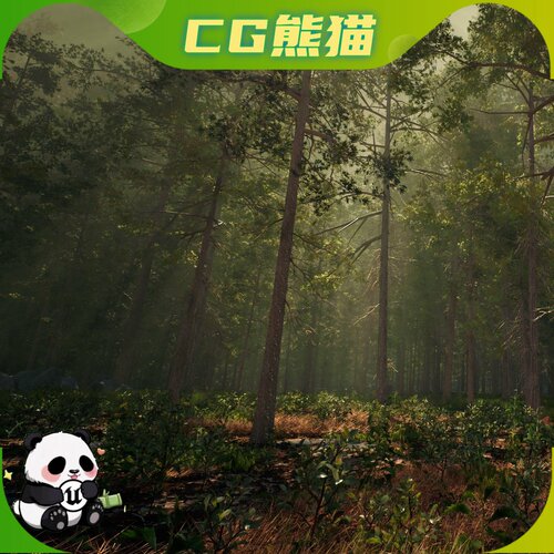 UE5虚幻5 Pine Trees Forest Biome 松林生物群落场景