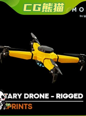 UE4虚幻5 Military Drone - Rigged BP Controllable 无人机