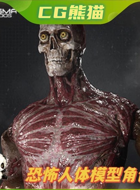 UE4虚幻5 Old Mannequin Phase 03 Type A Game Assets 游戏骷髅