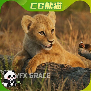 Blender小狮子幼崽模型 Lion Cub Animated | VFX Grace