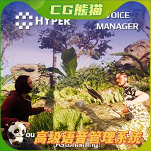 UE5虚幻5.3 Hyper Voice Manager v2高级语音管理器蓝图 V2