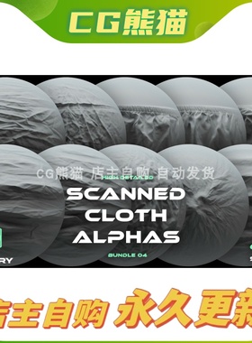 Artstation素材 10 Scanned Cloth Alphas 04 十种扫描布料