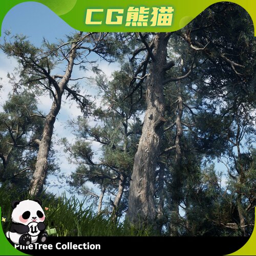 UE5虚幻5.3-5.8 Pine Tree Collection 松树松林树木模型