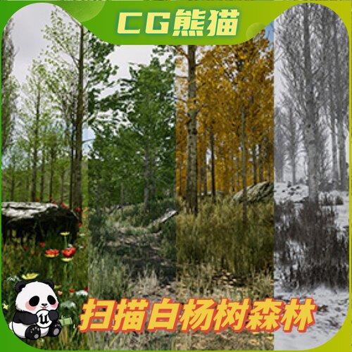 UE4虚幻5 Scanned Poplar and Aspen Forest with Seasons 森林