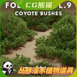Bushes UE5虚幻5 Coyote VOL.9 丛林灌木植物道具模型 Foliage