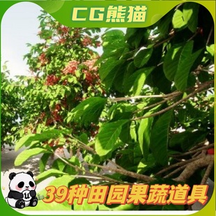 vegetables UE4虚幻5 and Fruits 田园水果蔬菜39个果蔬 plant