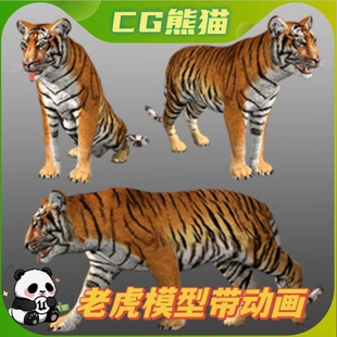 UE4虚幻5 Medhue Tiger 3D老虎猛虎模型角色带动画
