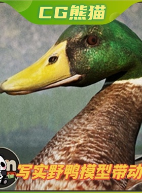 UE4虚幻5 Animalia - Mallard 写实野鸭模型动画