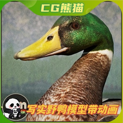 UE4虚幻5 Animalia - Mallard 写实野鸭模型动画