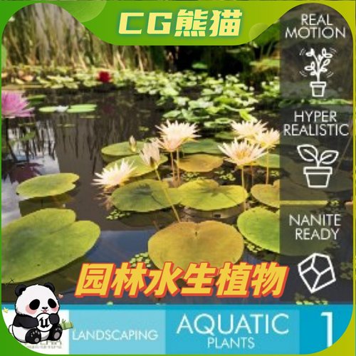 UE5虚幻5 Landscaping Aquatic Plants 园林水生荷叶植物