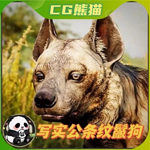 Unity3D Animalia - Striped Hyena (male) 鬣狗角色带动画