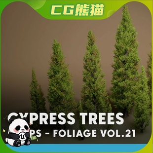 UE5虚幻5 Foliage VOL.21 - Cypress Trees 高质量柏树道具模型
