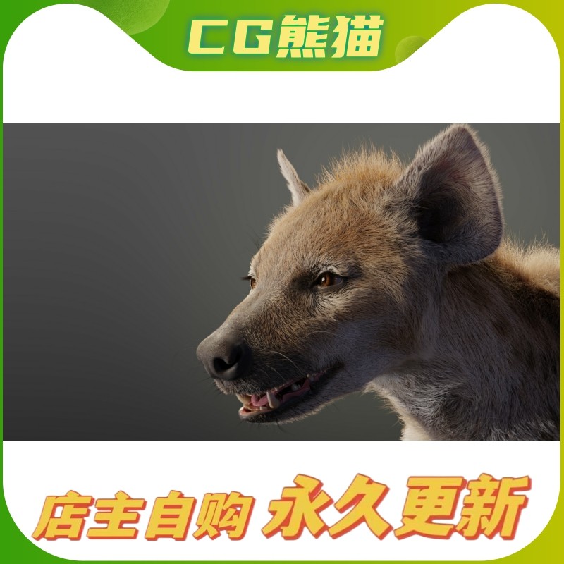 3d animal | spotted hyena animated  扫描斑鬣狗模型带动画
