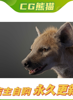 3D Animal | Spotted Hyena Animated  斑鬣狗模型带动画Blener