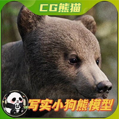 Unity3D Animalia - Brown Bear (young) 小狗熊模型带动画
