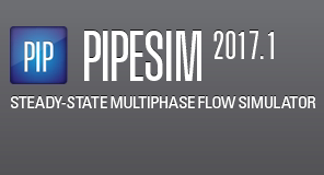 PIPESIM 1对1 2022 教程 指导 PIPESIM2020服务 Schlumberger