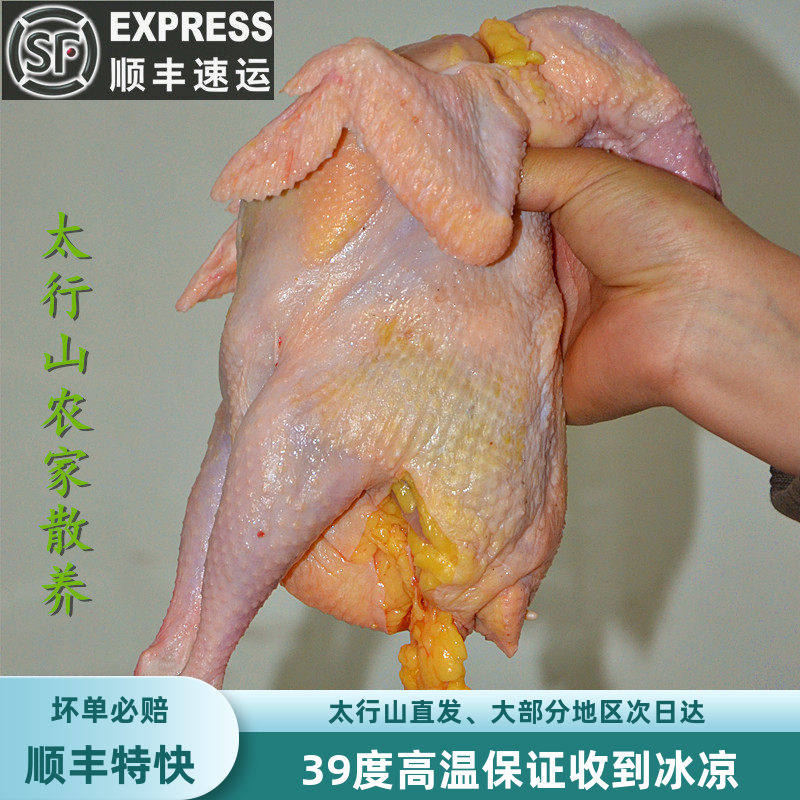 3年老母鸡正宗土鸡农家散养走地鸡柴鸡乡下笨鸡新鲜整只月子鸡肉