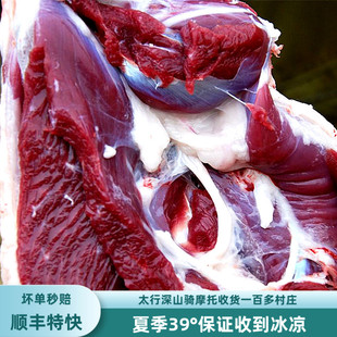 山羊肉黑山羊枣香羊太行山青山羊羊排羊蝎子山羯羊新鲜羊腿肉生鲜