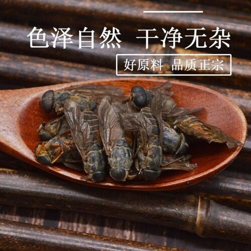 中药材大个牛虻虫 牛牤虫 牛忙虫 牛芒虫 牛硭虫正品50g免费打粉